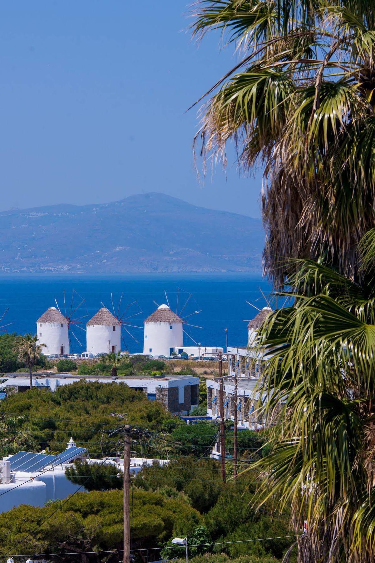 Dimele Rooms & Studios Mykonos Town Zewnętrze zdjęcie